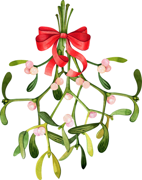 Christmas Watercolor Mistletoe Bouquet
