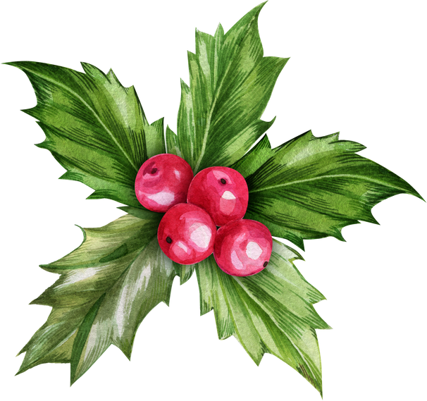 Watercolor Christmas Holly
